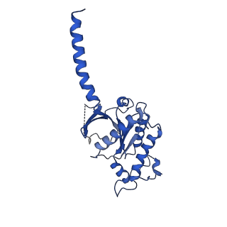 36325_8jir_A_v1-0
Cryo-EM structure of the GLP-1R/GCGR dual agonist SAR425899-bound human GLP-1R-Gs complex