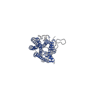 36325_8jir_R_v1-0
Cryo-EM structure of the GLP-1R/GCGR dual agonist SAR425899-bound human GLP-1R-Gs complex