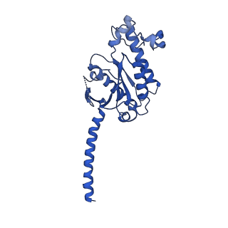 36327_8jit_A_v1-0
Cryo-EM structure of the GLP-1R/GCGR dual agonist MEDI0382-bound human GCGR-Gs complex