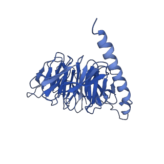 36327_8jit_B_v1-0
Cryo-EM structure of the GLP-1R/GCGR dual agonist MEDI0382-bound human GCGR-Gs complex