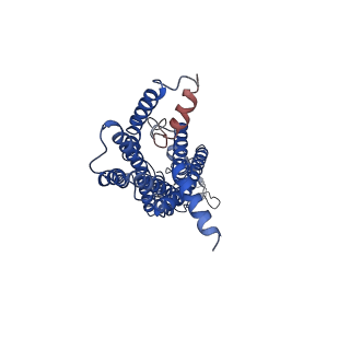 36327_8jit_R_v1-0
Cryo-EM structure of the GLP-1R/GCGR dual agonist MEDI0382-bound human GCGR-Gs complex
