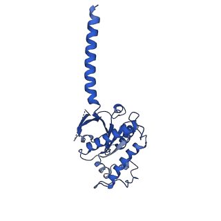 36328_8jiu_A_v1-0
Cryo-EM structure of the GLP-1R/GCGR dual agonist SAR425899-bound human GCGR-Gs complex