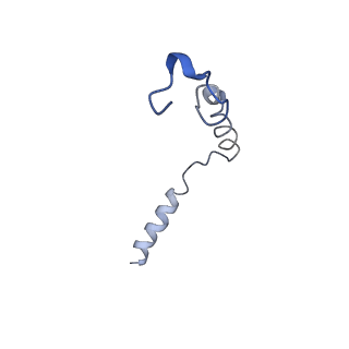 36328_8jiu_C_v1-0
Cryo-EM structure of the GLP-1R/GCGR dual agonist SAR425899-bound human GCGR-Gs complex