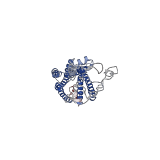 36328_8jiu_R_v1-0
Cryo-EM structure of the GLP-1R/GCGR dual agonist SAR425899-bound human GCGR-Gs complex