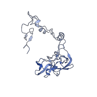 36331_8jiv_CA_v1-0
Atomic structure of wheat ribosome reveals unique features of the plant ribosomes