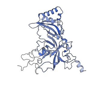 36331_8jiv_CB_v1-0
Atomic structure of wheat ribosome reveals unique features of the plant ribosomes