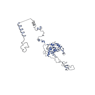 36331_8jiv_CC_v1-0
Atomic structure of wheat ribosome reveals unique features of the plant ribosomes