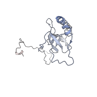 36331_8jiv_CE_v1-0
Atomic structure of wheat ribosome reveals unique features of the plant ribosomes