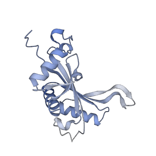 36331_8jiv_CJ_v1-0
Atomic structure of wheat ribosome reveals unique features of the plant ribosomes