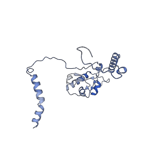 36331_8jiv_CL_v1-0
Atomic structure of wheat ribosome reveals unique features of the plant ribosomes