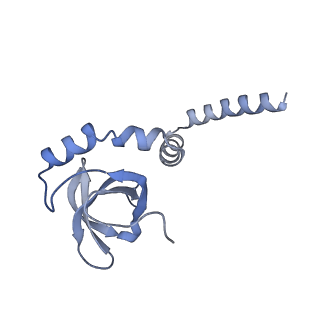 36331_8jiv_CM_v1-0
Atomic structure of wheat ribosome reveals unique features of the plant ribosomes