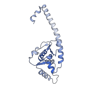 36331_8jiv_CO_v1-0
Atomic structure of wheat ribosome reveals unique features of the plant ribosomes