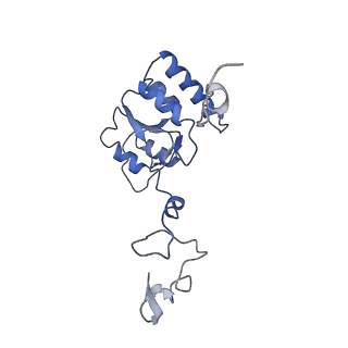 36331_8jiv_CQ_v1-0
Atomic structure of wheat ribosome reveals unique features of the plant ribosomes