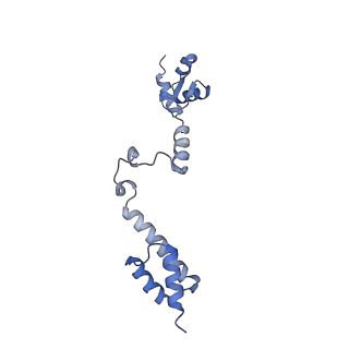 36331_8jiv_CR_v1-0
Atomic structure of wheat ribosome reveals unique features of the plant ribosomes