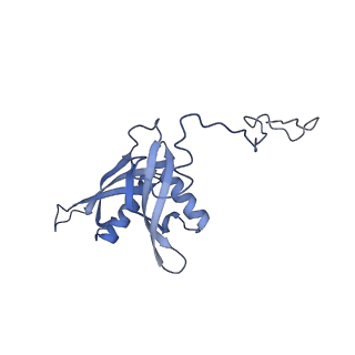 36331_8jiv_CS_v1-0
Atomic structure of wheat ribosome reveals unique features of the plant ribosomes