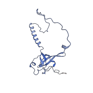 36331_8jiv_CT_v1-0
Atomic structure of wheat ribosome reveals unique features of the plant ribosomes