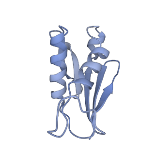 36331_8jiv_CU_v1-0
Atomic structure of wheat ribosome reveals unique features of the plant ribosomes