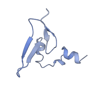 36331_8jiv_CW_v1-0
Atomic structure of wheat ribosome reveals unique features of the plant ribosomes