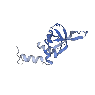 36331_8jiv_CY_v1-0
Atomic structure of wheat ribosome reveals unique features of the plant ribosomes