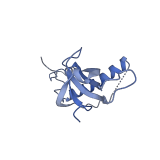 36331_8jiv_CZ_v1-0
Atomic structure of wheat ribosome reveals unique features of the plant ribosomes