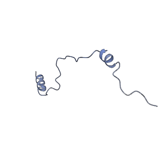 36331_8jiv_Cb_v1-0
Atomic structure of wheat ribosome reveals unique features of the plant ribosomes