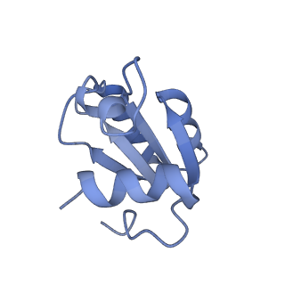 36331_8jiv_Cc_v1-0
Atomic structure of wheat ribosome reveals unique features of the plant ribosomes