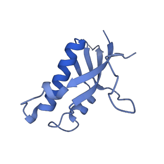 36331_8jiv_Cd_v1-0
Atomic structure of wheat ribosome reveals unique features of the plant ribosomes