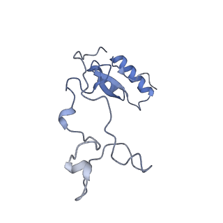 36331_8jiv_Ce_v1-0
Atomic structure of wheat ribosome reveals unique features of the plant ribosomes