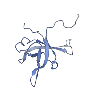 36331_8jiv_Cf_v1-0
Atomic structure of wheat ribosome reveals unique features of the plant ribosomes