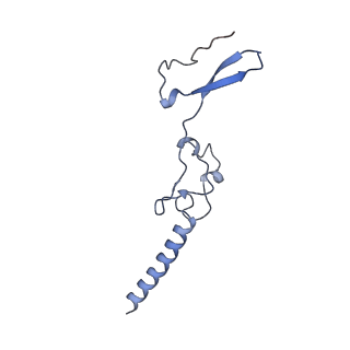 36331_8jiv_Cg_v1-0
Atomic structure of wheat ribosome reveals unique features of the plant ribosomes