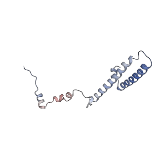 36331_8jiv_Ch_v1-0
Atomic structure of wheat ribosome reveals unique features of the plant ribosomes