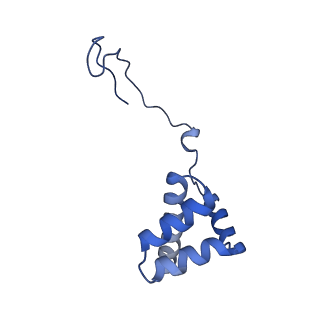 36331_8jiv_Ci_v1-0
Atomic structure of wheat ribosome reveals unique features of the plant ribosomes