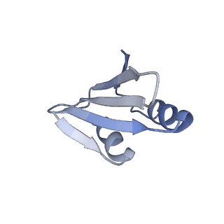 36331_8jiv_Ck_v1-0
Atomic structure of wheat ribosome reveals unique features of the plant ribosomes