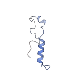 36331_8jiv_Cl_v1-0
Atomic structure of wheat ribosome reveals unique features of the plant ribosomes