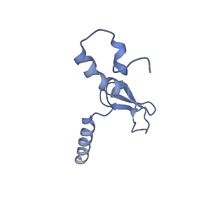 36331_8jiv_Cp_v1-0
Atomic structure of wheat ribosome reveals unique features of the plant ribosomes
