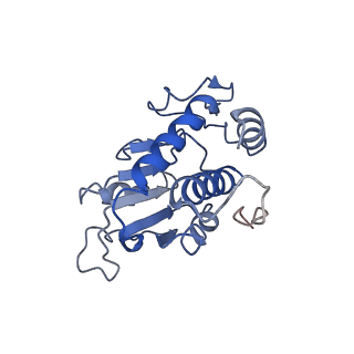 36332_8jiw_BA_v1-0
Atomic structure of wheat ribosome reveals unique features of the plant ribosomes