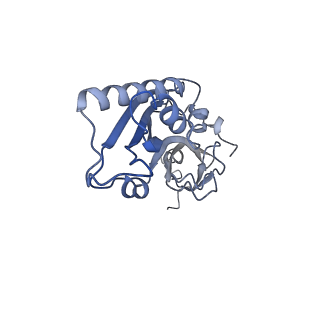 36332_8jiw_BB_v1-0
Atomic structure of wheat ribosome reveals unique features of the plant ribosomes