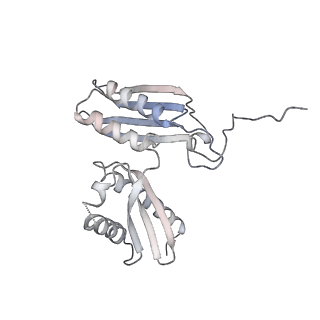 36332_8jiw_BD_v1-0
Atomic structure of wheat ribosome reveals unique features of the plant ribosomes