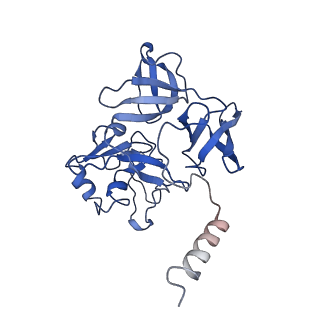 36332_8jiw_BE_v1-0
Atomic structure of wheat ribosome reveals unique features of the plant ribosomes