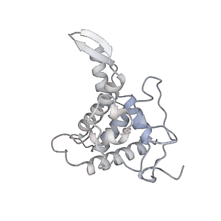 36332_8jiw_BF_v1-0
Atomic structure of wheat ribosome reveals unique features of the plant ribosomes