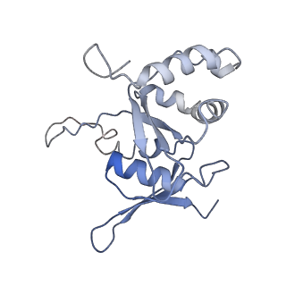 36332_8jiw_BH_v1-0
Atomic structure of wheat ribosome reveals unique features of the plant ribosomes