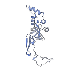 36332_8jiw_BI_v1-0
Atomic structure of wheat ribosome reveals unique features of the plant ribosomes