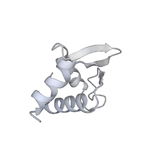36332_8jiw_BK_v1-0
Atomic structure of wheat ribosome reveals unique features of the plant ribosomes