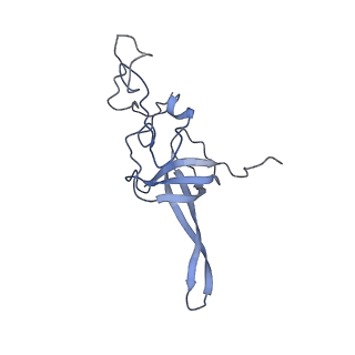 36332_8jiw_BL_v1-0
Atomic structure of wheat ribosome reveals unique features of the plant ribosomes