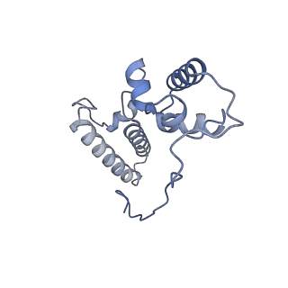 36332_8jiw_BN_v1-0
Atomic structure of wheat ribosome reveals unique features of the plant ribosomes