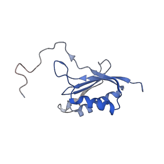 36332_8jiw_BO_v1-0
Atomic structure of wheat ribosome reveals unique features of the plant ribosomes