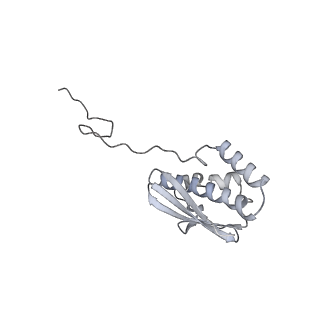 36332_8jiw_BQ_v1-0
Atomic structure of wheat ribosome reveals unique features of the plant ribosomes