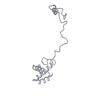 36332_8jiw_BR_v1-0
Atomic structure of wheat ribosome reveals unique features of the plant ribosomes