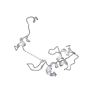 36332_8jiw_BS_v1-0
Atomic structure of wheat ribosome reveals unique features of the plant ribosomes