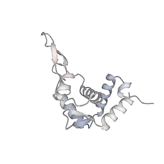 36332_8jiw_BT_v1-0
Atomic structure of wheat ribosome reveals unique features of the plant ribosomes